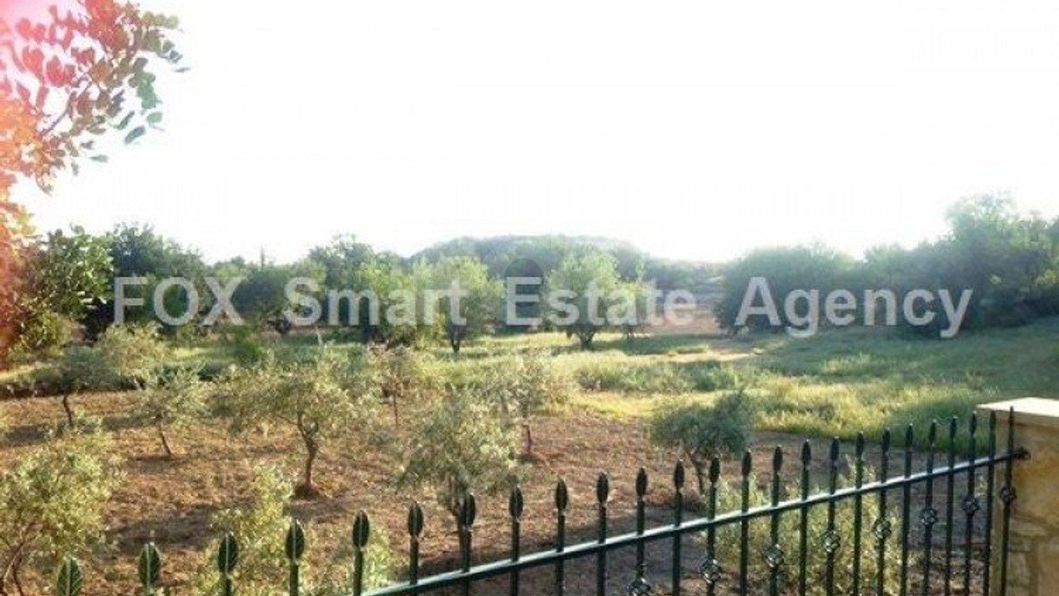 Land For Sale In Apesia Limassol Cyprus