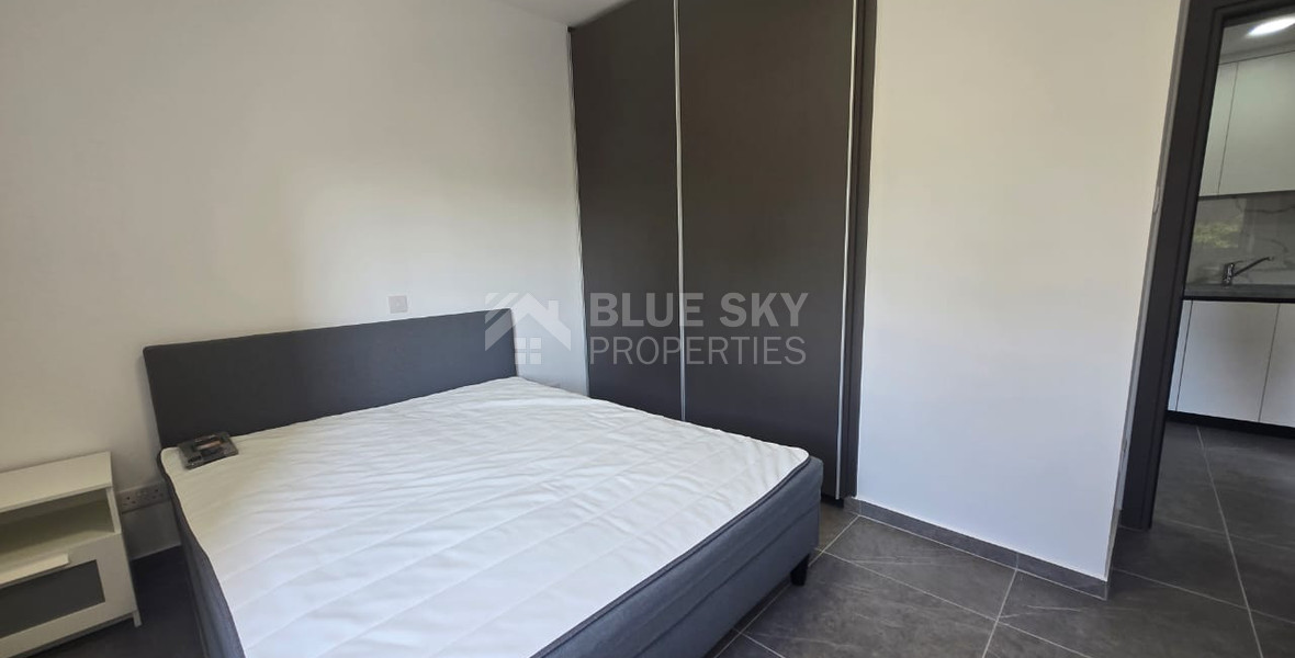 Fully renovated one bedroom apartment for rent by the sea, Potamos Germasogeia, Limassol