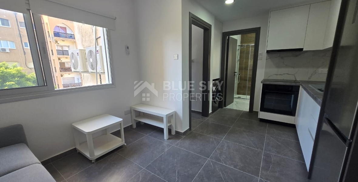 Fully renovated one bedroom apartment for rent by the sea, Potamos Germasogeia, Limassol