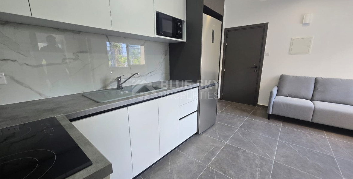 Fully renovated one bedroom apartment for rent by the sea, Potamos Germasogeia, Limassol