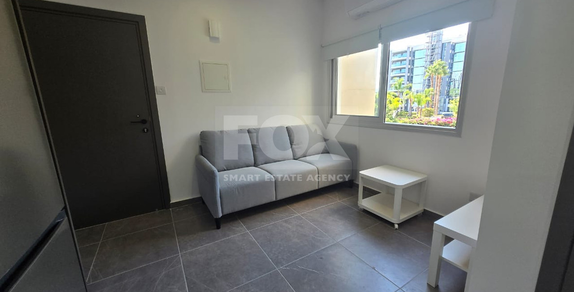 Fully renovated one bedroom apartment for rent by the sea, Potamos Germasogeia, Limassol