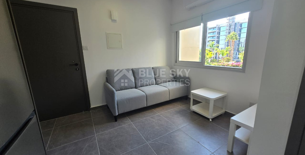 Fully renovated one bedroom apartment for rent by the sea, Potamos Germasogeia, Limassol