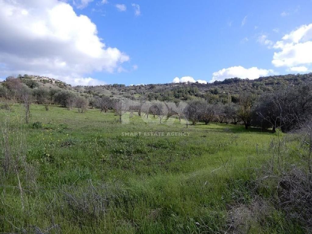 For sale : Agricultural Field in Meladia community in Paphos.