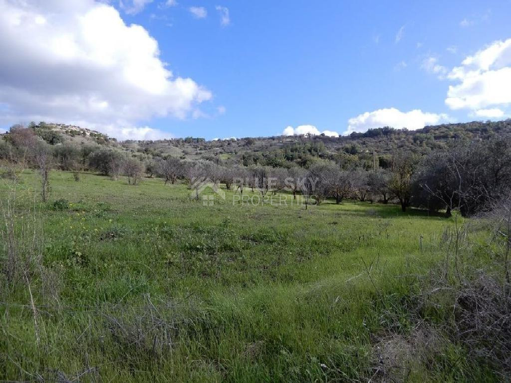 For sale : Agricultural Field in Meladia community in Paphos.