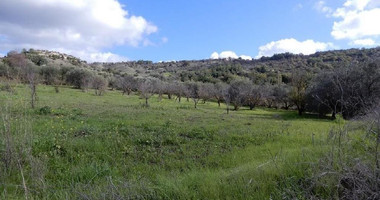 For sale : Agricultural Field in Meladia community in Paphos.