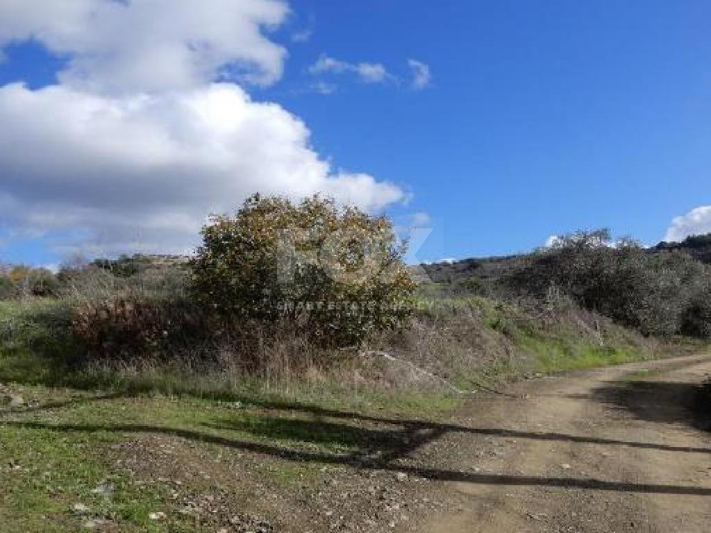 For sale : Agricultural Field in Meladia community in Paphos.