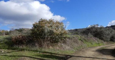 For sale : Agricultural Field in Meladia community in Paphos.