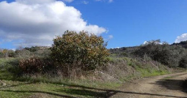 For sale : Agricultural Field in Meladia community in Paphos.