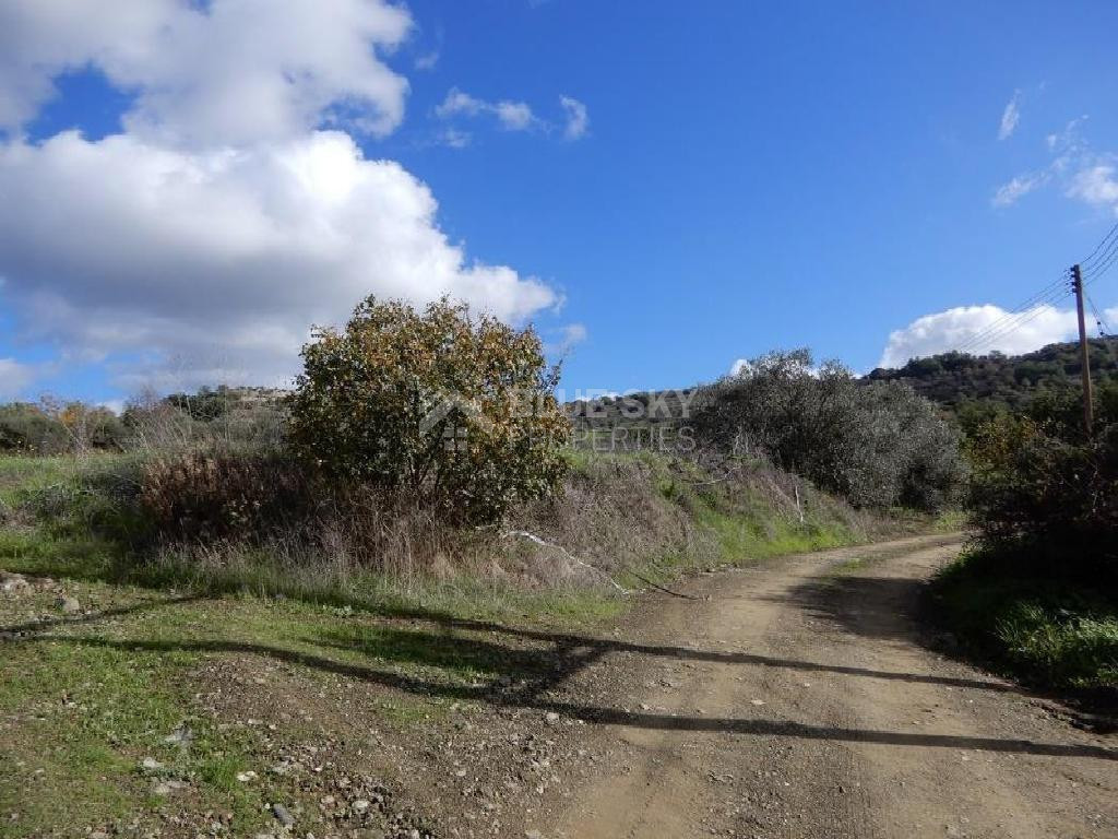 For sale : Agricultural Field in Meladia community in Paphos.