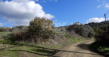 For sale : Agricultural Field in Meladia community in Paphos.