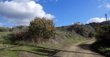 For sale : Agricultural Field in Meladia community in Paphos.