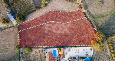 For sale, Residential field in Polemi community, in Paphos district.