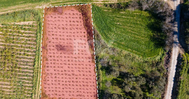 For sale: Residential field in Polemi community,  in Paphos District.