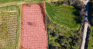 For sale: Residential field in Polemi community,  in Paphos District.