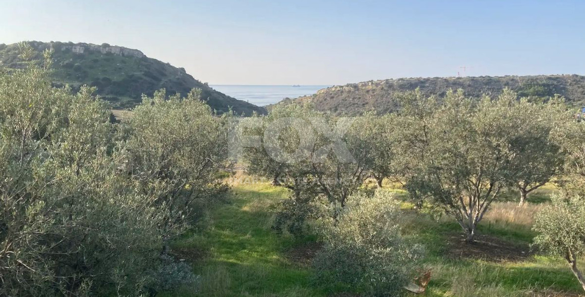 Large Residential Field for Sale in Agios Tychon