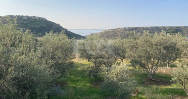 Large Residential Field for Sale in Agios Tychon
