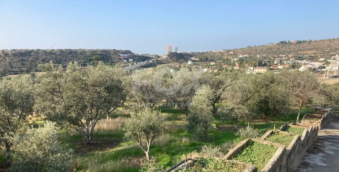 Large Residential Field for Sale in Agios Tychon