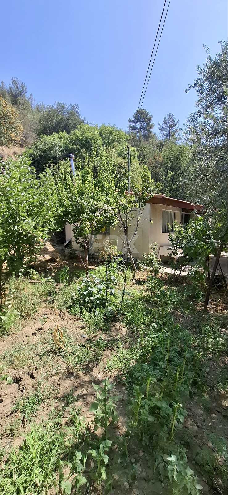 Two bedroom house for rent in Zoopigi village, Limassol