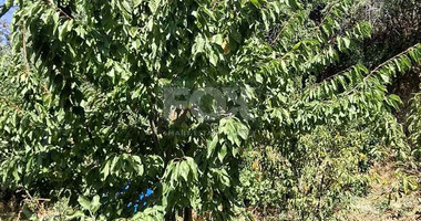 Two bedroom house for rent in Zoopigi village, Limassol