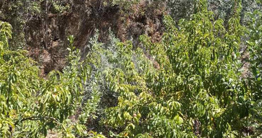 Two bedroom house for rent in Zoopigi village, Limassol