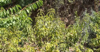 Two bedroom house for rent in Zoopigi village, Limassol