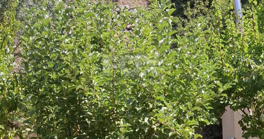 Two bedroom house for rent in Zoopigi village, Limassol