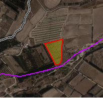 Shared Large Field (1/3) for Sale in Acheleia, Paphos