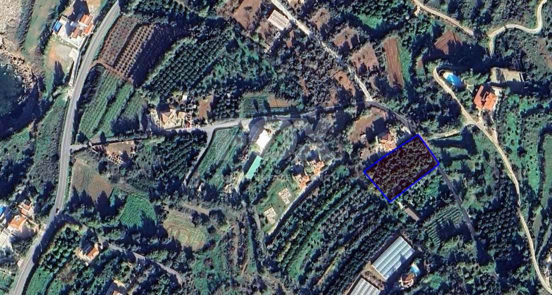 Residential land for sale in Nea Dimmata 400 meters from the beach