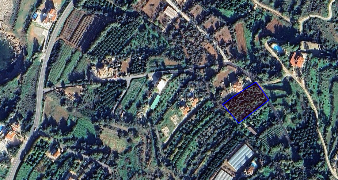 Residential land for sale in Nea Dimmata 400 meters from the beach