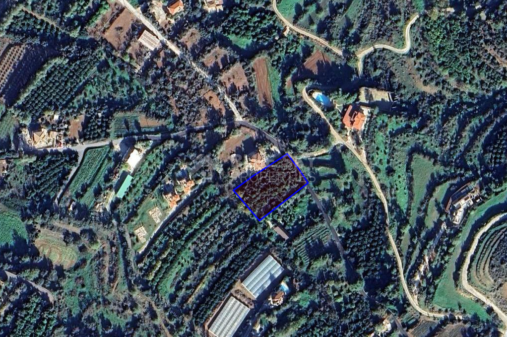 Residential land for sale in Nea Dimmata 400 meters from the beach