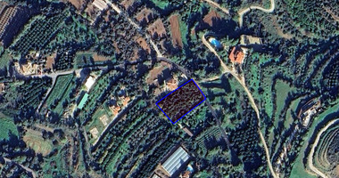 Residential land for sale in Nea Dimmata 400 meters from the beach