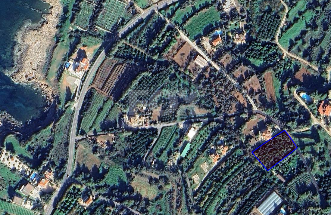 Residential land for sale in Nea Dimmata 400 meters from the beach