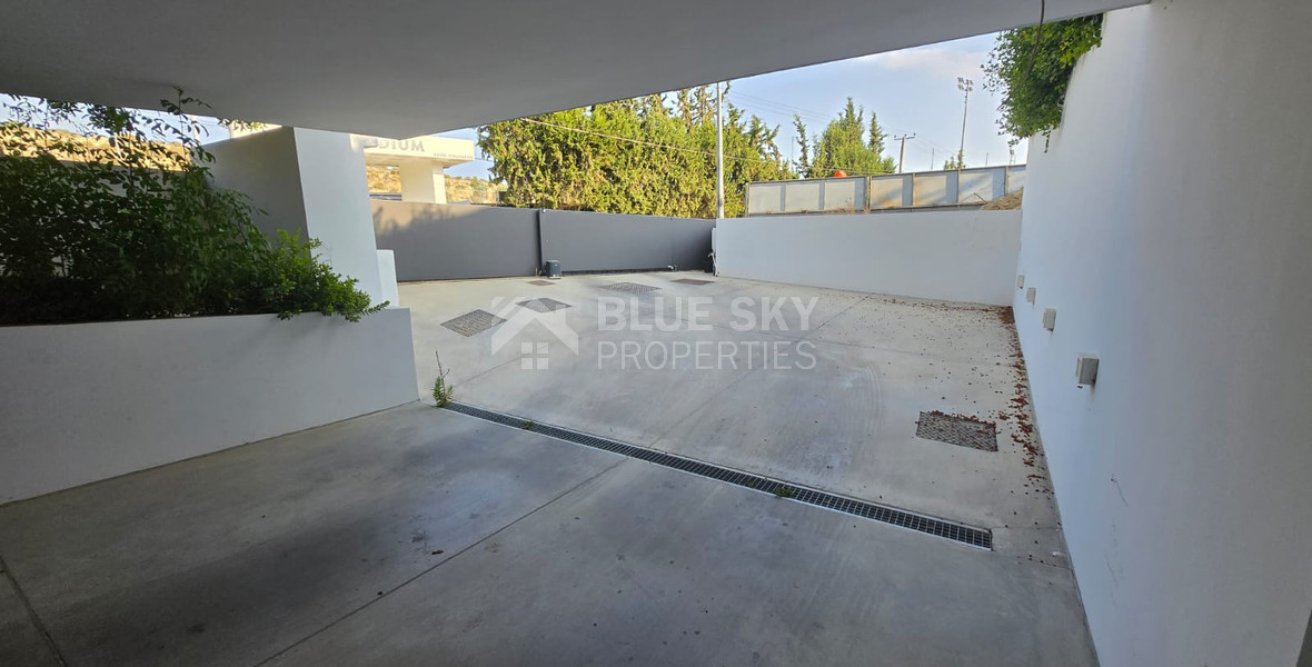 Unique Villa for Sale in Agios Athanasios