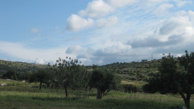 Land For Sale In Erimi Limassol Cyprus