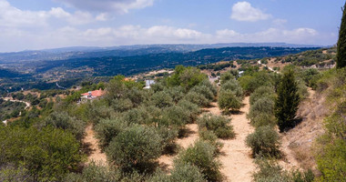 Residential Field in Psathi Community, in Paphos