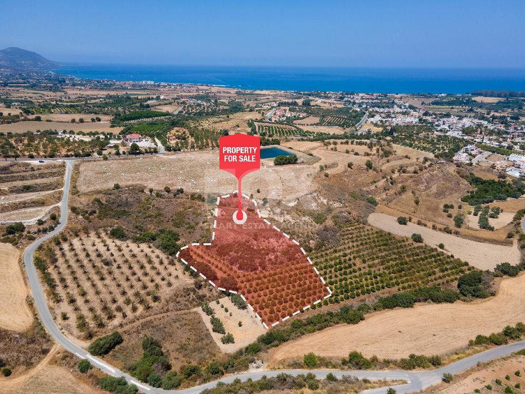 For sale , Agricultural Field in Polis Chrysochou area, in Paphos