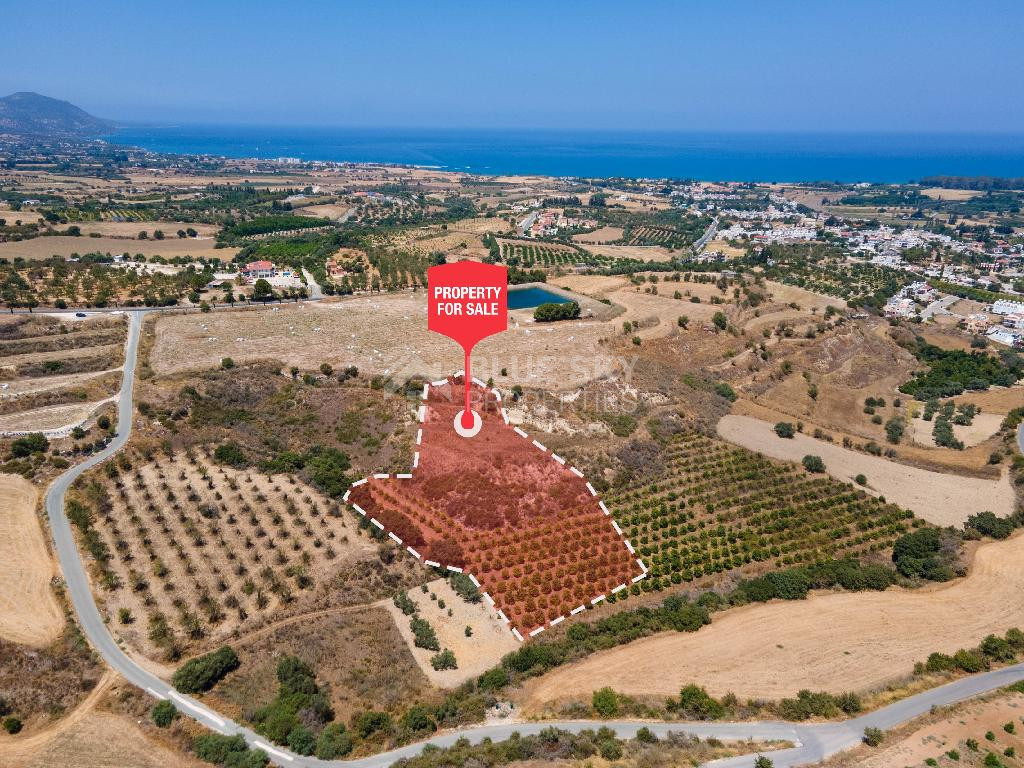 For sale , Agricultural Field in Polis Chrysochou area, in Paphos