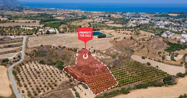 For sale , Agricultural Field in Polis Chrysochou area, in Paphos