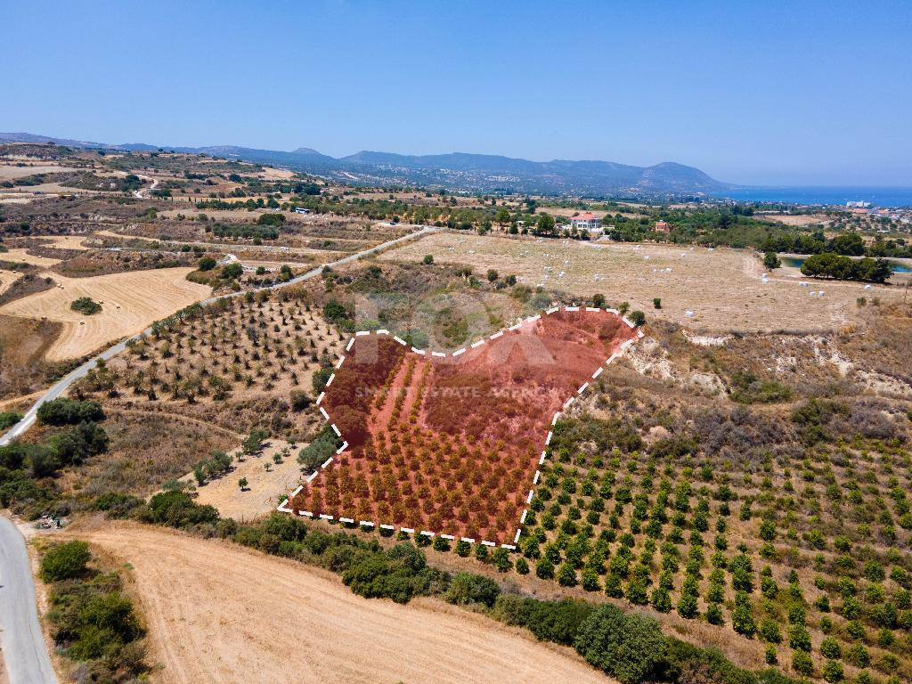 For sale , Agricultural Field in Polis Chrysochou area, in Paphos