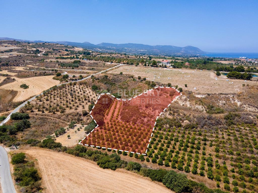For sale , Agricultural Field in Polis Chrysochou area, in Paphos