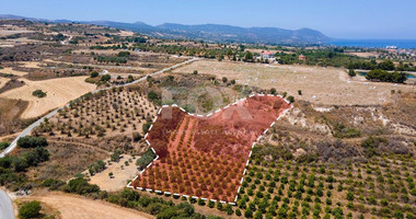 For sale , Agricultural Field in Polis Chrysochou area, in Paphos