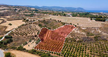 For sale , Agricultural Field in Polis Chrysochou area, in Paphos