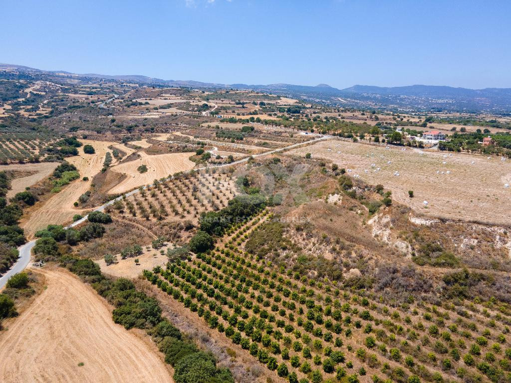For sale , Agricultural Field in Polis Chrysochou area, in Paphos