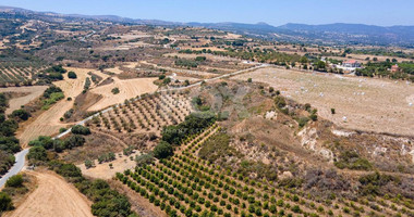 For sale , Agricultural Field in Polis Chrysochou area, in Paphos