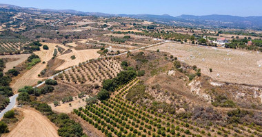 For sale , Agricultural Field in Polis Chrysochou area, in Paphos