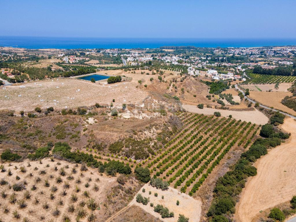For sale , Agricultural Field in Polis Chrysochou area, in Paphos