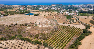 For sale , Agricultural Field in Polis Chrysochou area, in Paphos