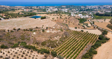 For sale , Agricultural Field in Polis Chrysochou area, in Paphos