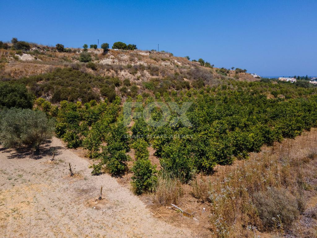 For sale , Agricultural Field in Polis Chrysochou area, in Paphos