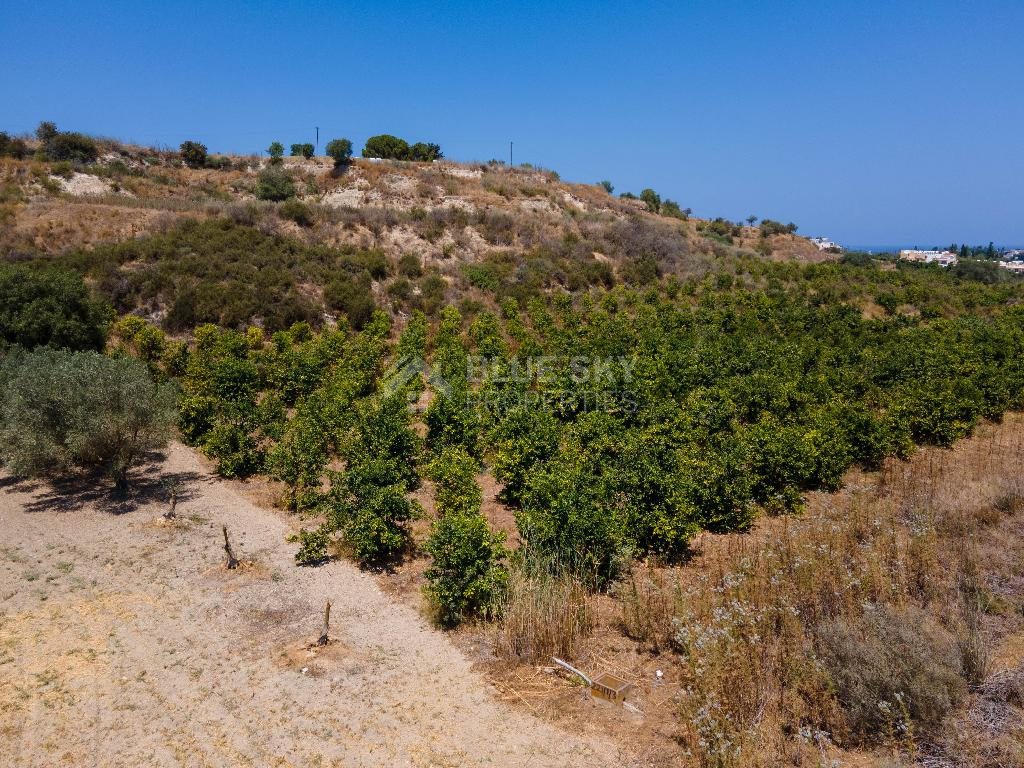 For sale , Agricultural Field in Polis Chrysochou area, in Paphos